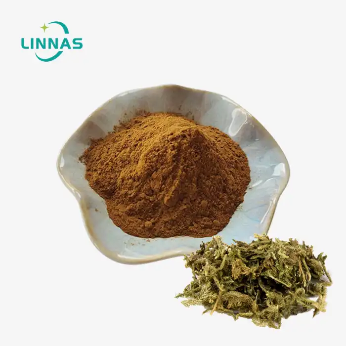 Lycopodium Japonicum Extract Powder